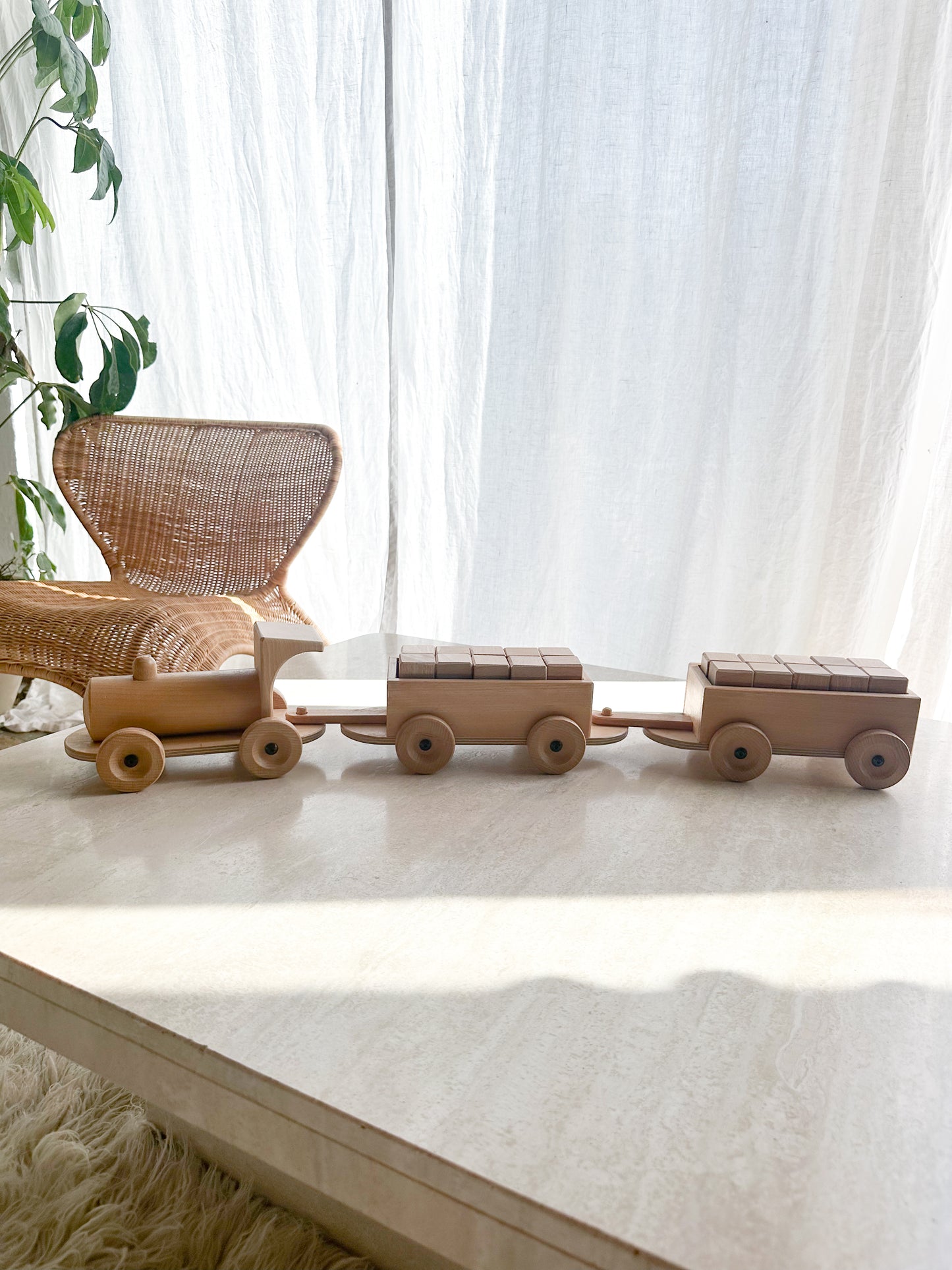 Wooden train