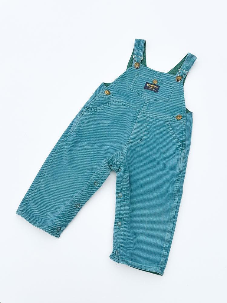 Lined corduroy overalls size 12M