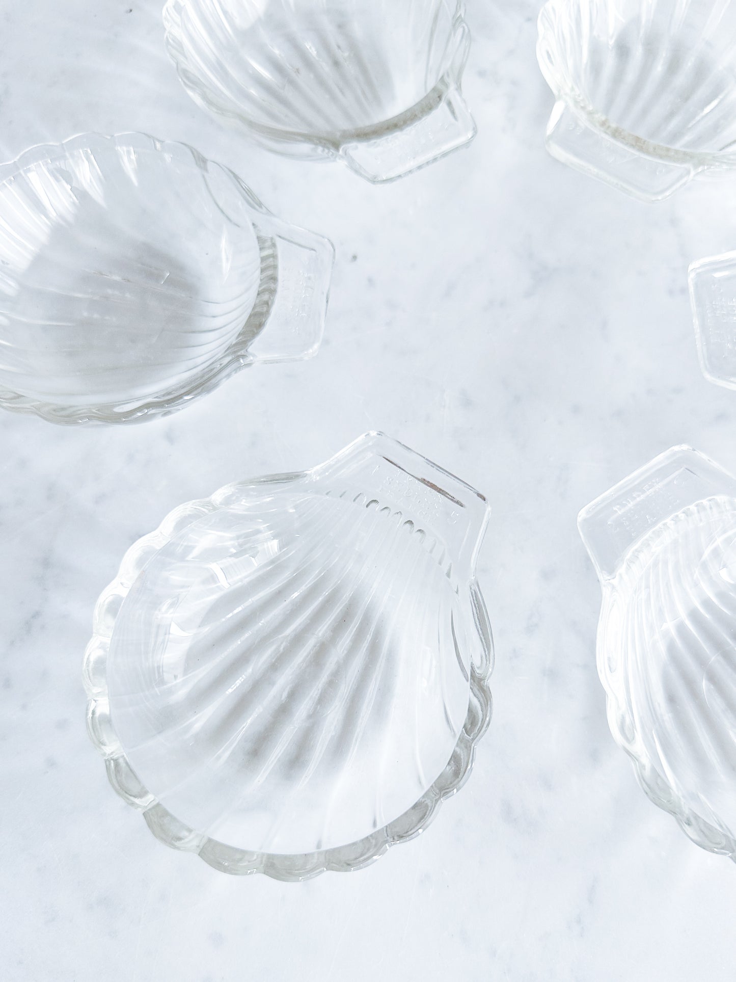 Scallop plates 6x